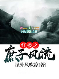 红楼之庶子分家全文阅读