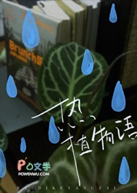 热植花烛SKG品种